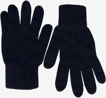 Zwillingsherz Handschuhe in Blau: predná strana