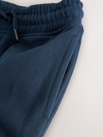 Next Regular Trousers in Blue