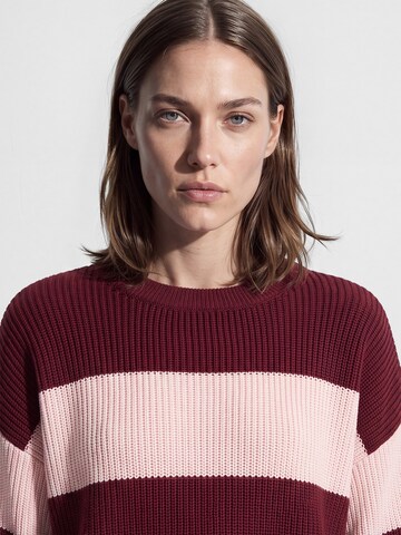 Mavi Pullover in Lila