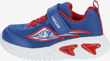 GEOX Sneakers in Blue