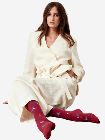 Von Jungfeld Socks 'Papagei Icon' in Red: front