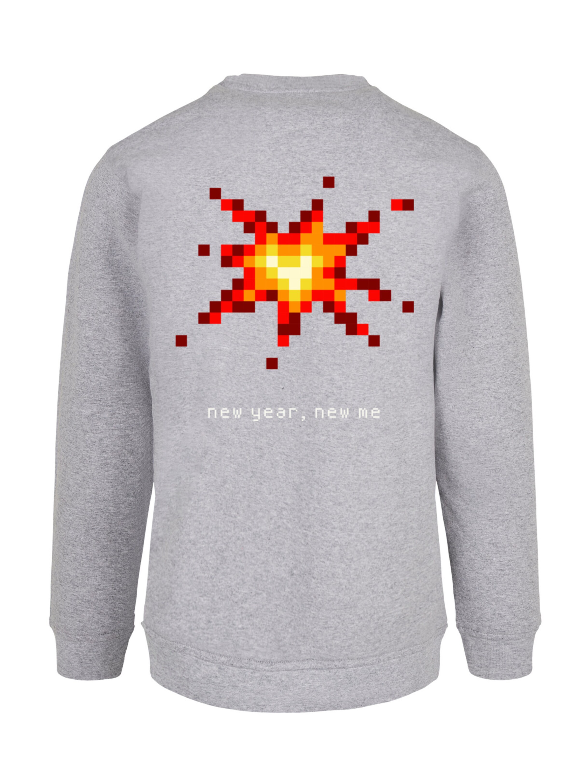 F4NT4STIC Sweatshirt in Grau