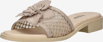 Zoccoletto di Nero Giardini in beige: frontale