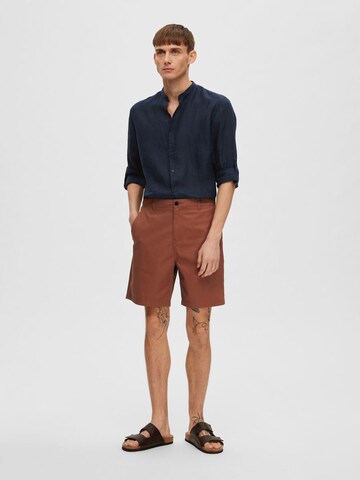 Regular Pantalon chino SELECTED HOMME en marron