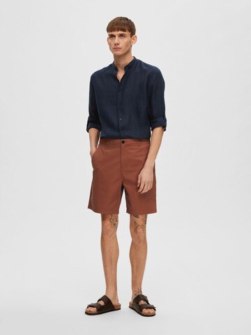 SELECTED HOMME Regular Chino Pants in Brown