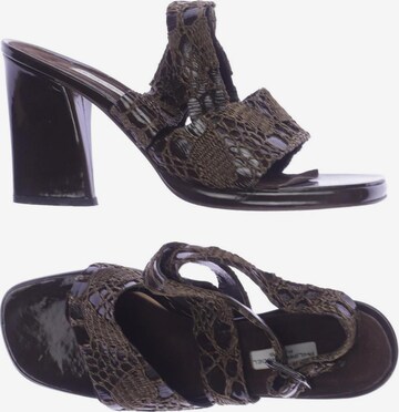 Philippe Model Sandals & High-Heeled Sandals in 38 in Brown: front