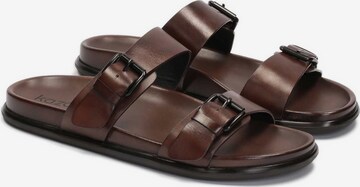 Kazar Mules in Brown