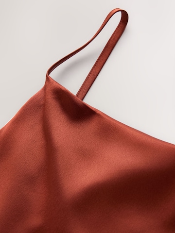Next Evening Dress in Brown