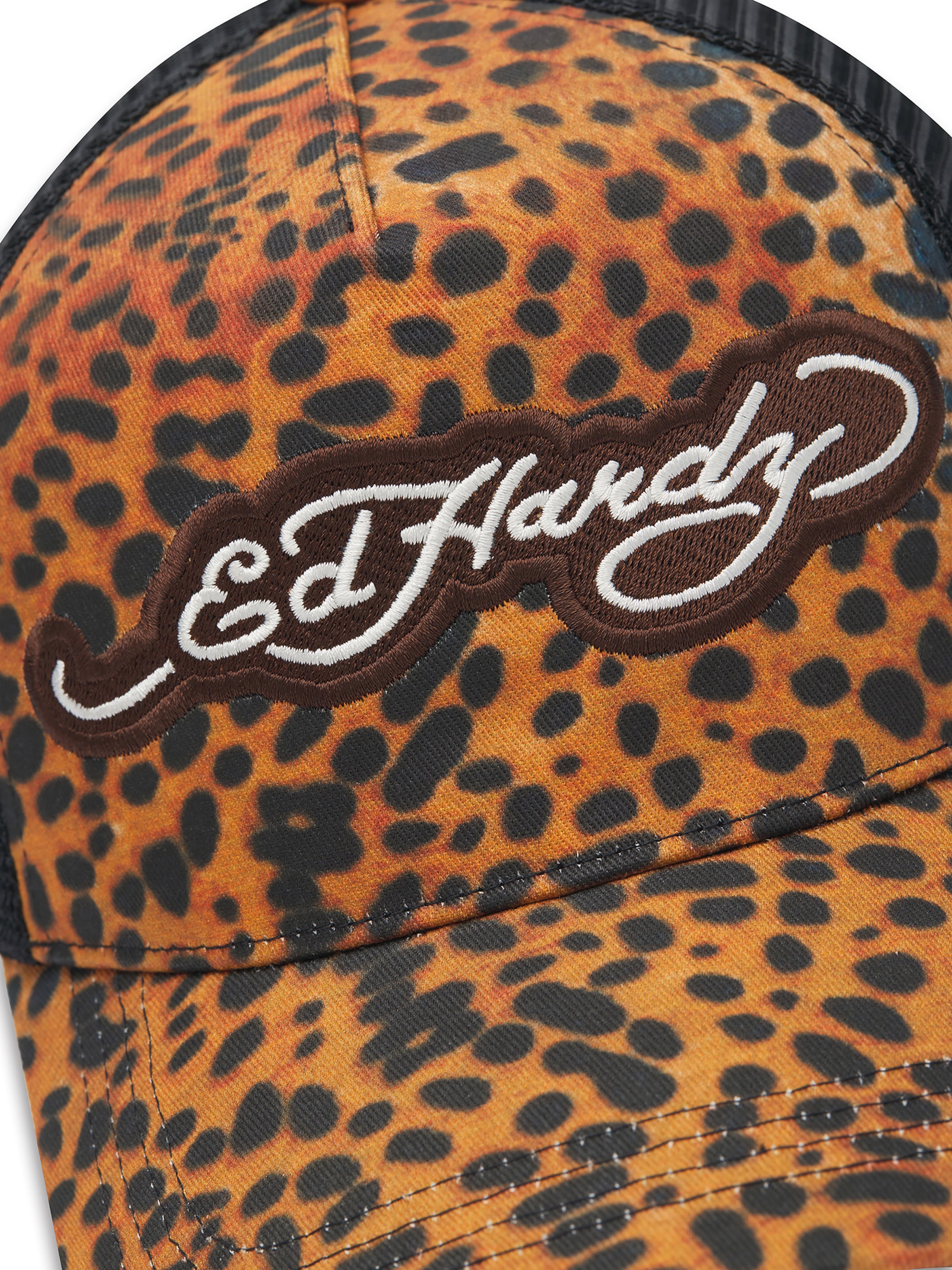 Cappello da baseball di Ed Hardy in marrone
