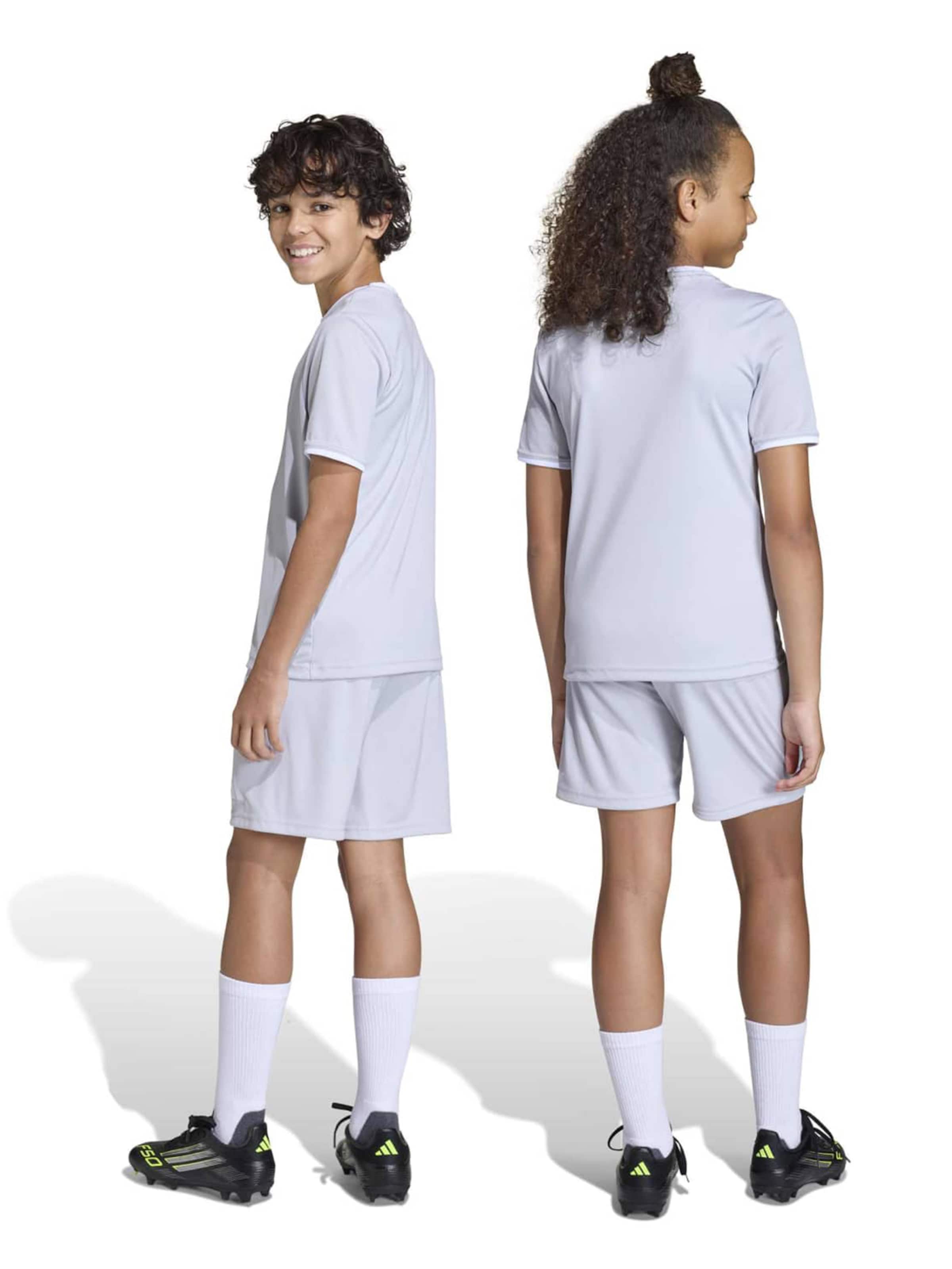 ADIDAS PERFORMANCE - regular Pantalón deportivo 'ENT26' en gris