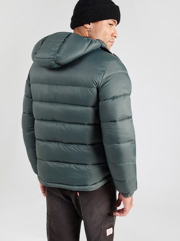 NAPAPIJRI Téli dzseki 'ARNEL 1' - zöld: hátul