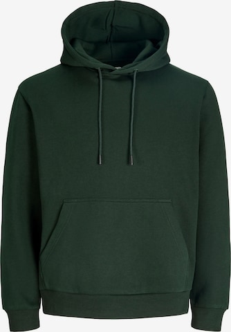 Jack & Jones Plus Sweatshirt 'JJEBRADLEY' in Grün: Vorderseite