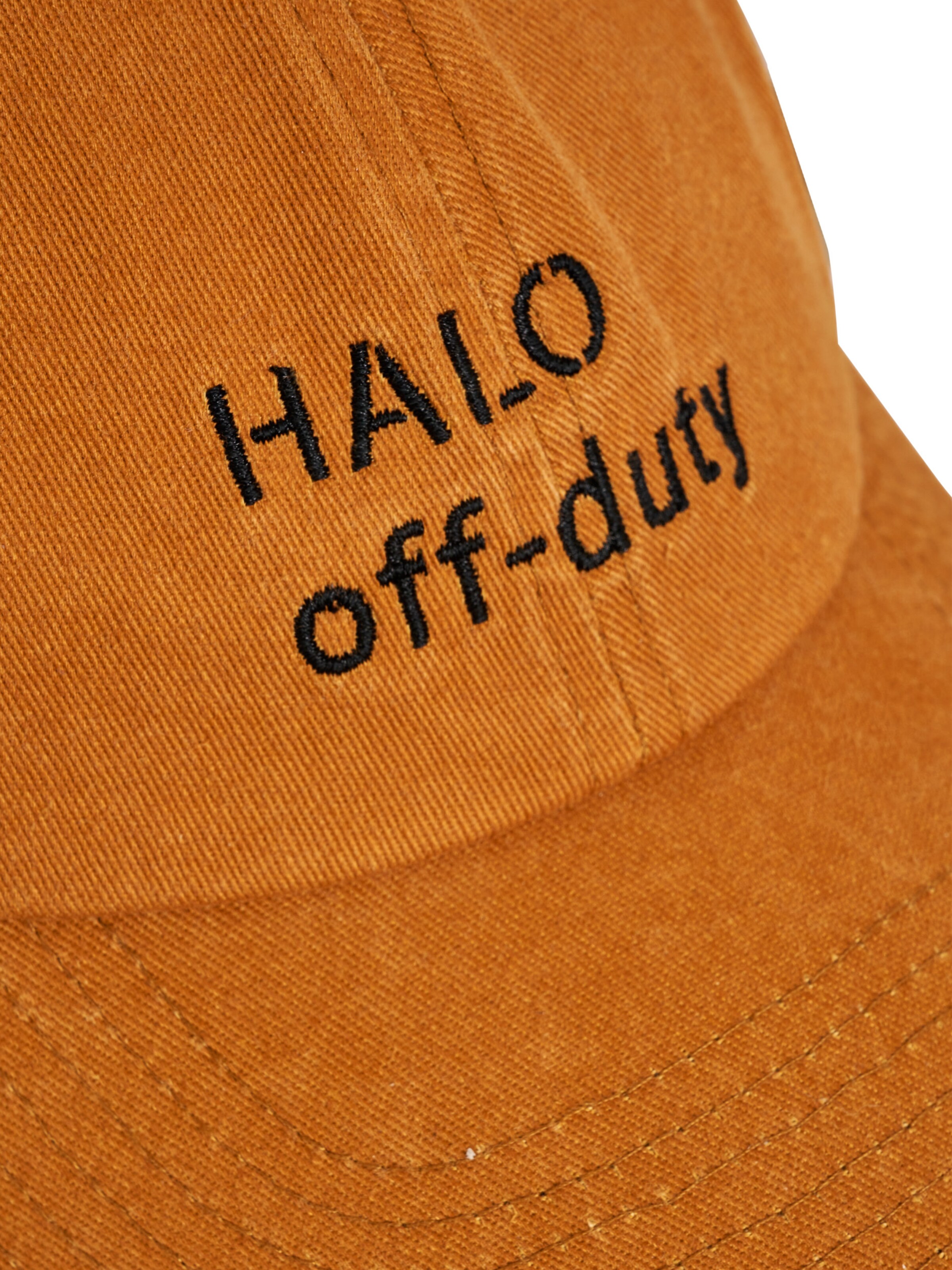 HALO Pet in Oranje