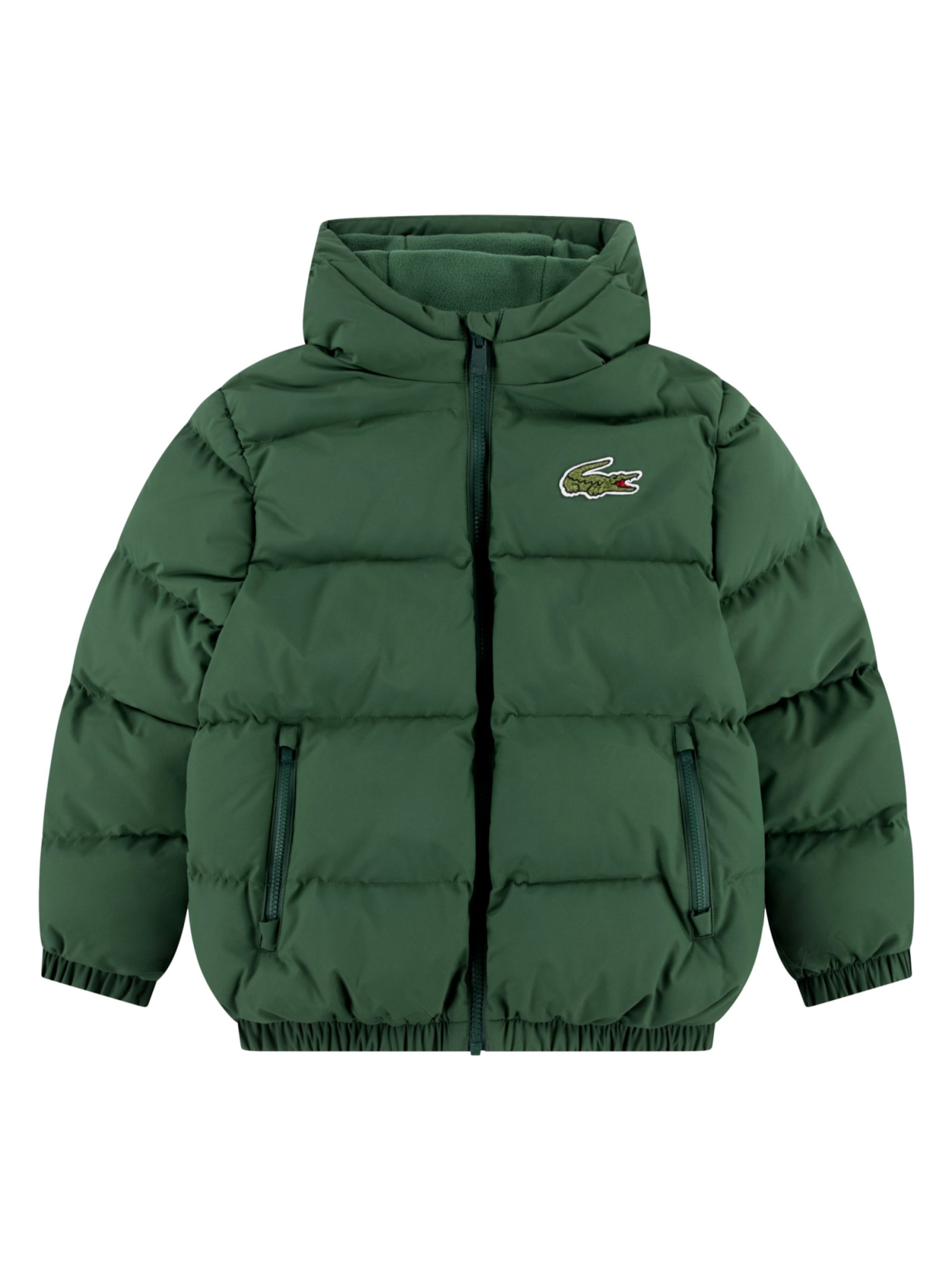 Veste d’hiver LACOSTE en vert : devant