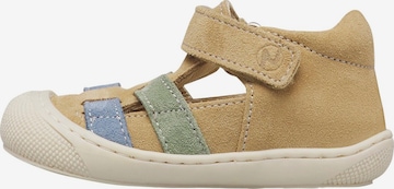 NATURINO Sandals & Slippers in Green: front