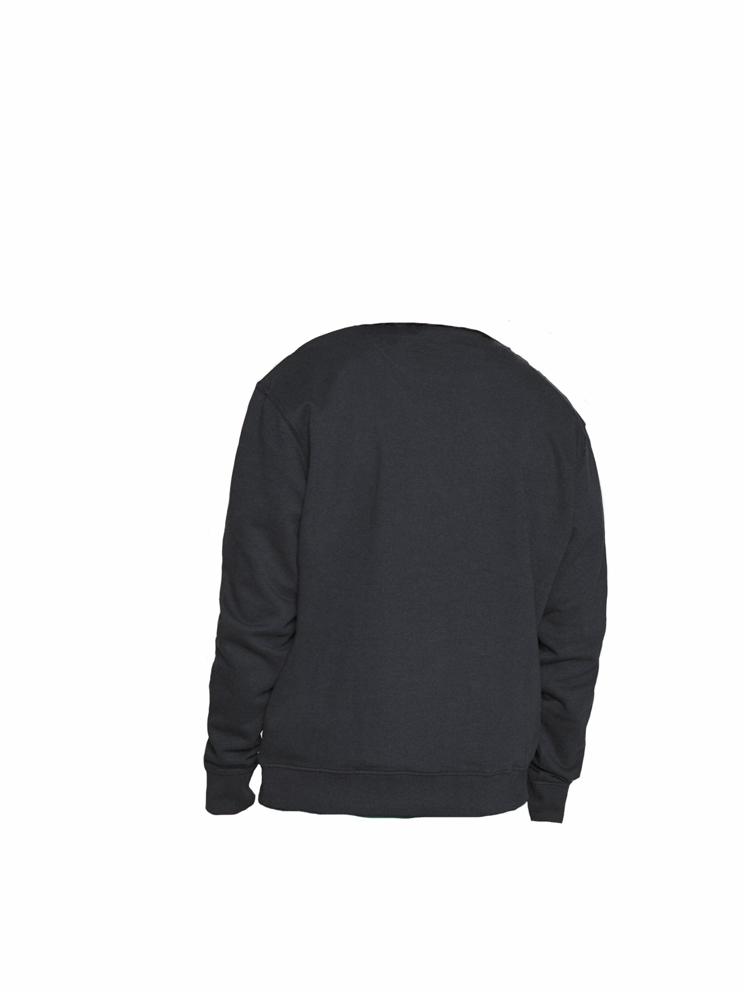 Karl Kani Sweatshirt 'Crew' in Blue