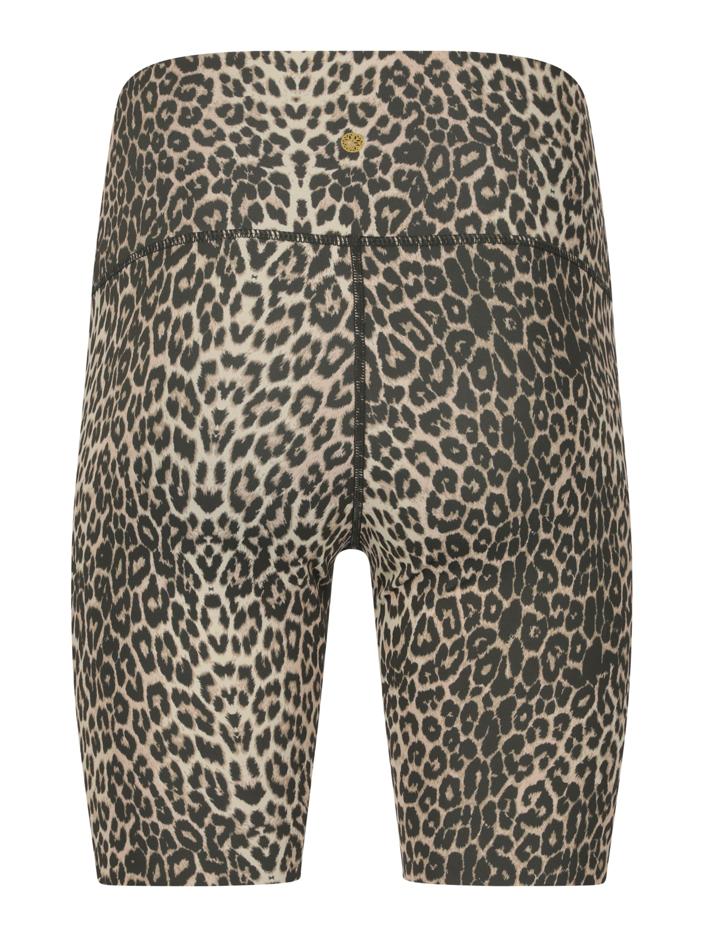 Athlecia Skinny Workout Pants 'Windia' in Brown