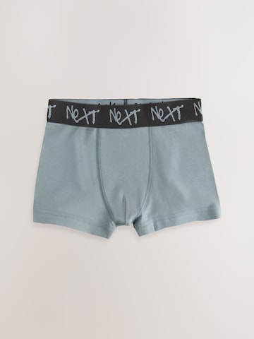 Next Underpants in Beige