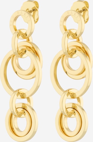 Boucles d'oreilles 'Huliet' Ted Baker en or : devant