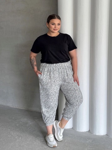 Stil Diva Regular Broek in Grijs: voorkant