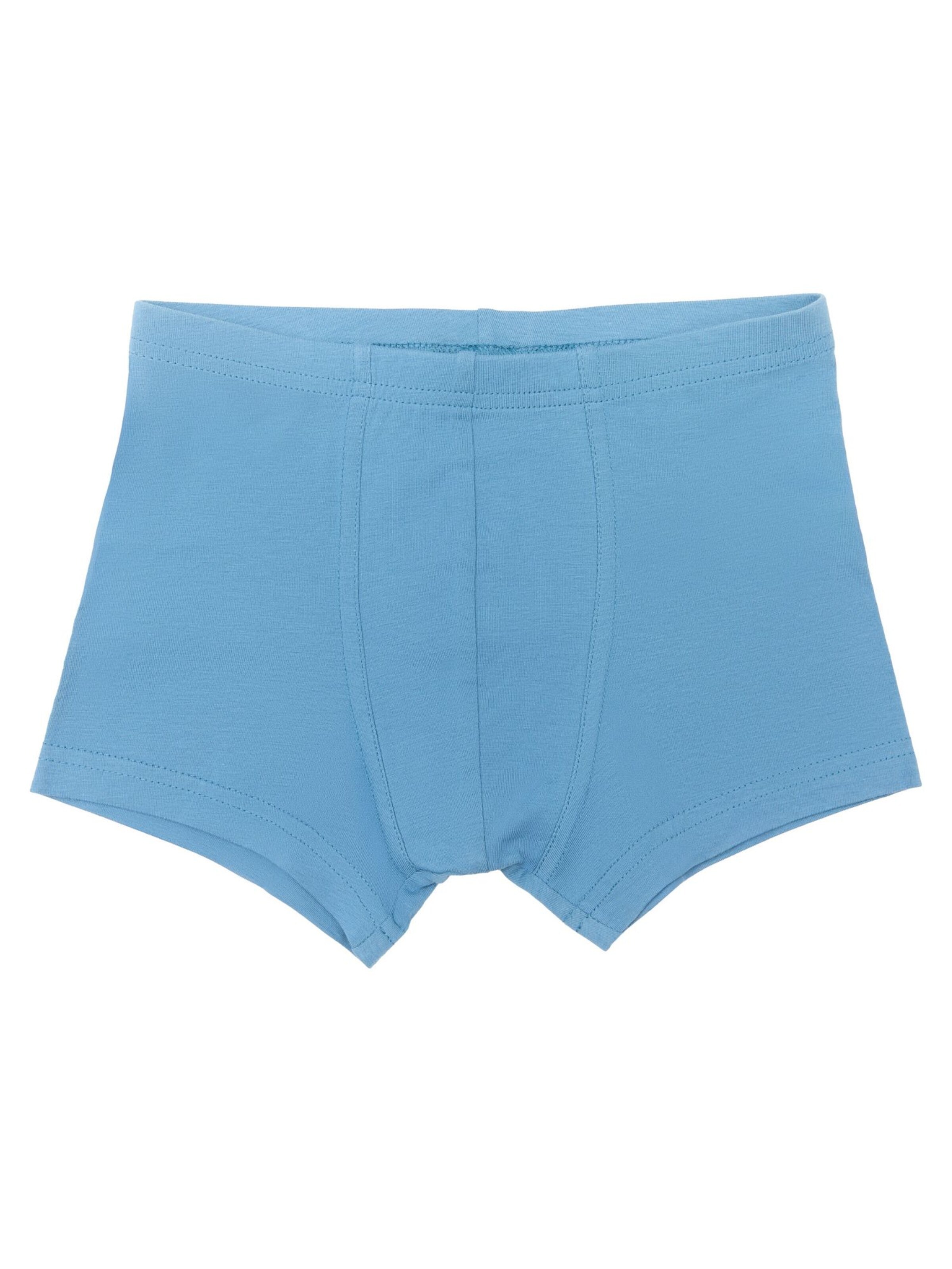 Albero Natur Underpants in Blue