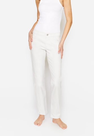 Angels Regular Straight-Leg Jeans  'Dolly' in Grau: predná strana