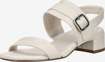 Sandales à lanières Högl en beige : devant
