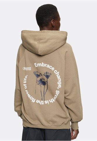 Pegador Sweatshirt 'Roya' in Grey: front