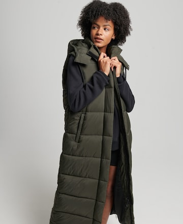 Superdry Bodywarmer in Groen: voorkant