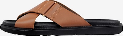 Bianco Mule en marron, Vue avec produit