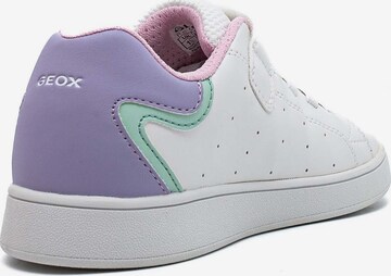 GEOX Sneakers 'J Eclyper A - Vit.Sint.' in Wit