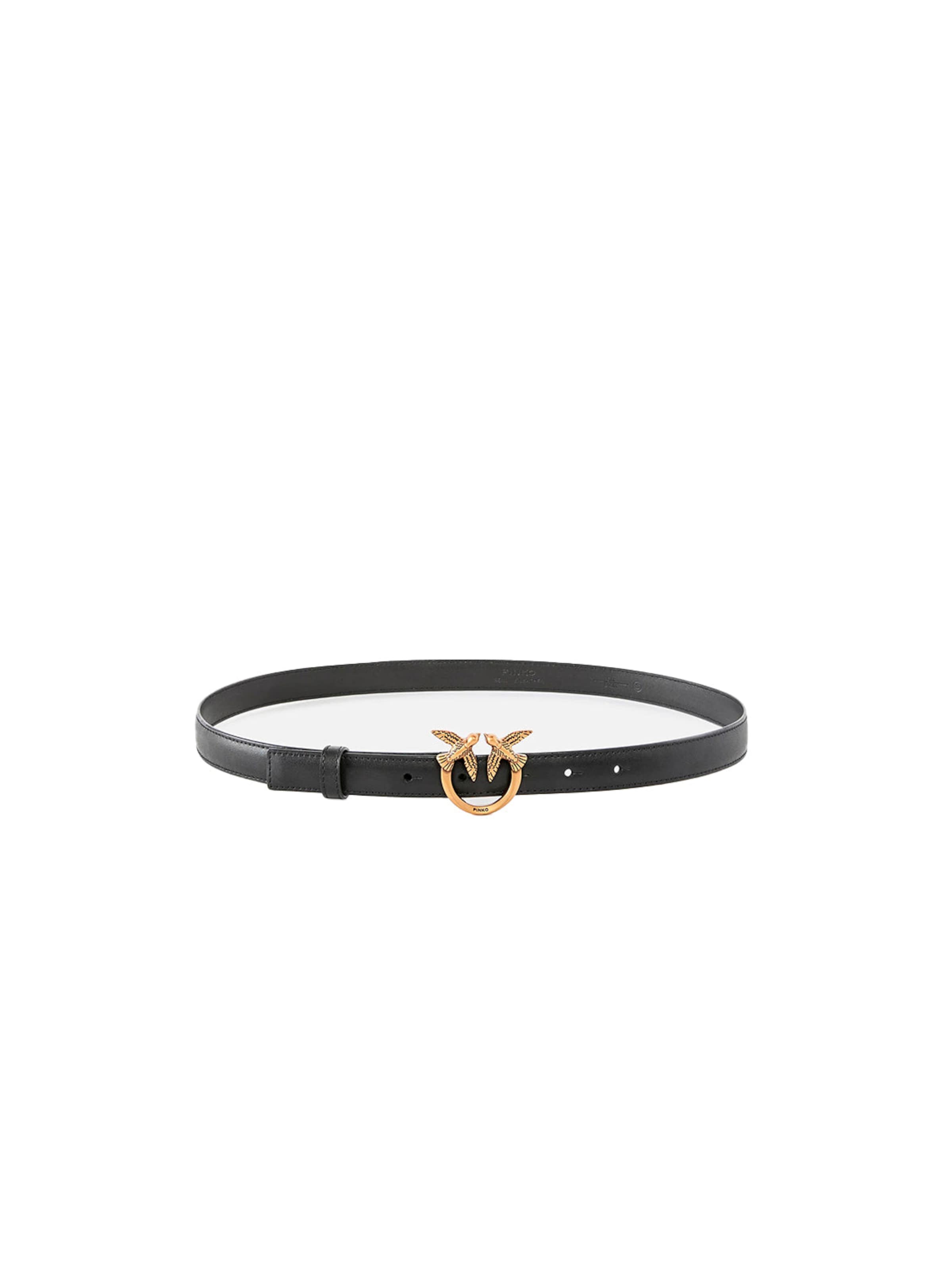 PINKO Belt '100143 A0F1 PE26 - CINTURA' in Black: front