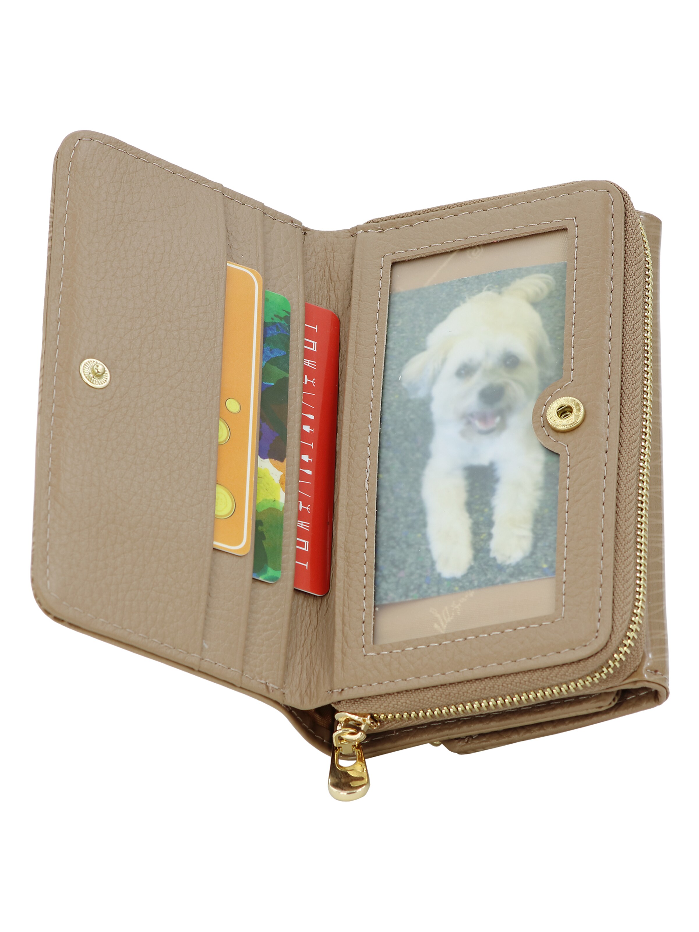 Jennifer Jones Wallet in Beige