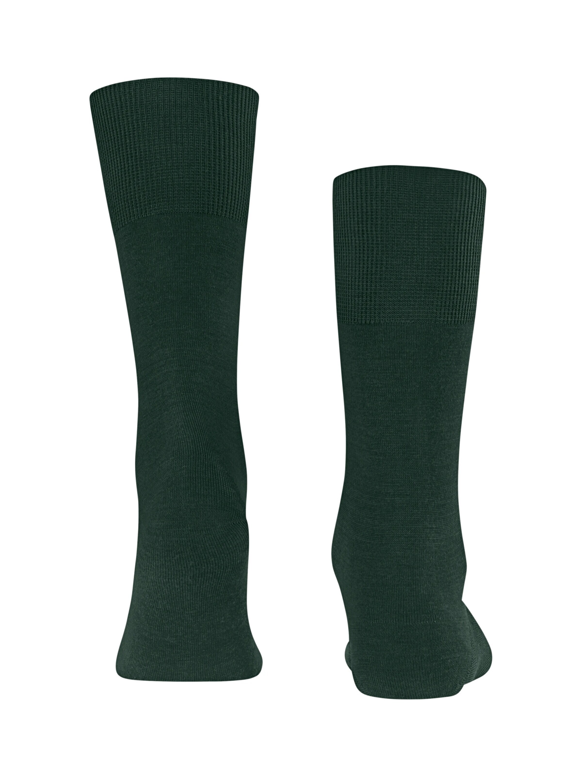 FALKE Socks 'Airport' in Green