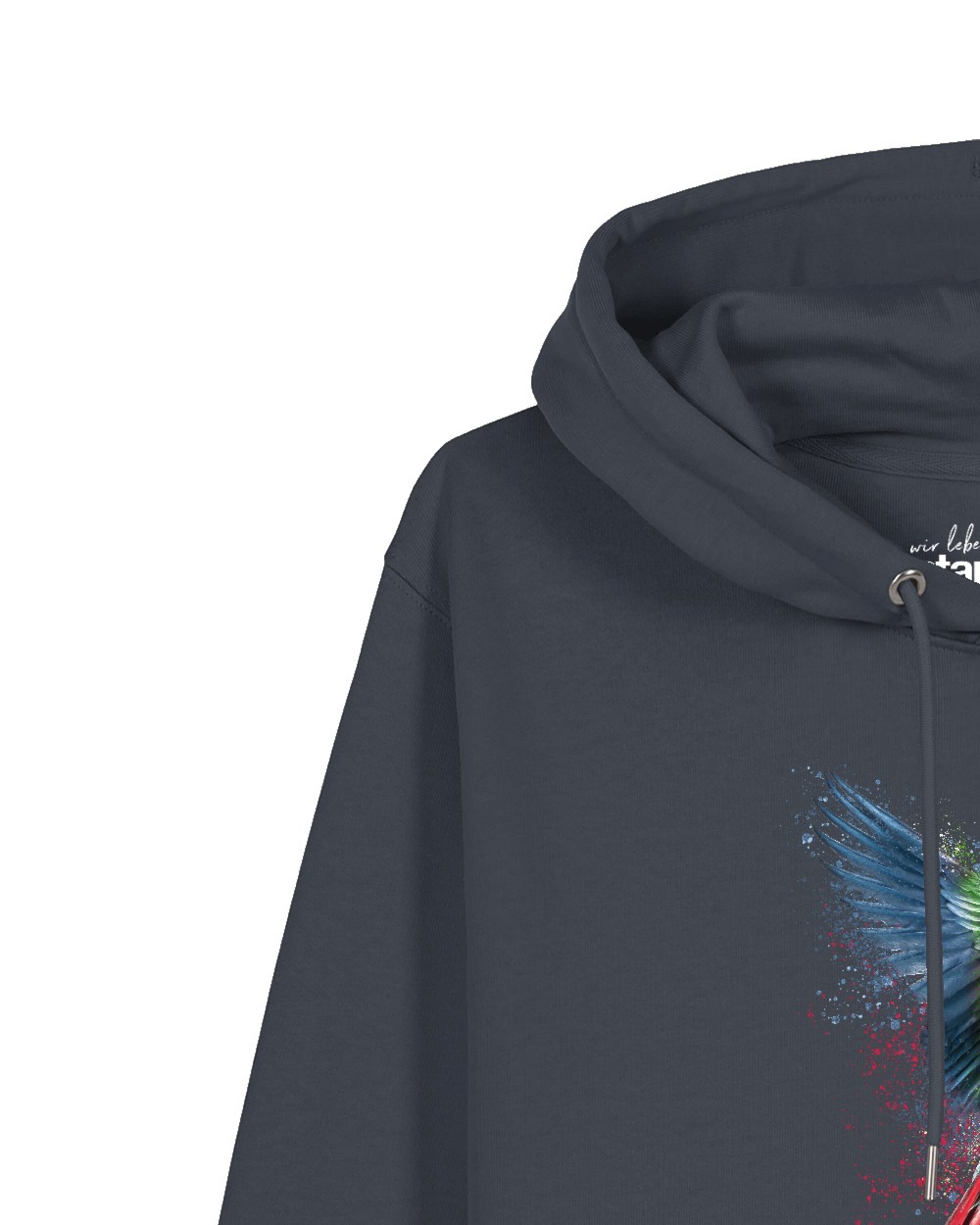 Felpa 'Papagei' di Watapparel in grigio