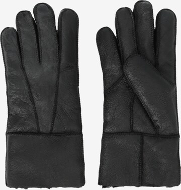 Whistler Full Finger Gloves 'Virging' in Black: front