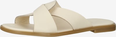 ILC Mule en beige, Vue avec produit