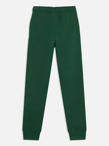 Champion Authentic Athletic Apparel Tapered Pants in Green