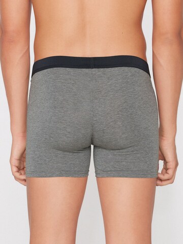 Tezenis Boxer shorts in Grey