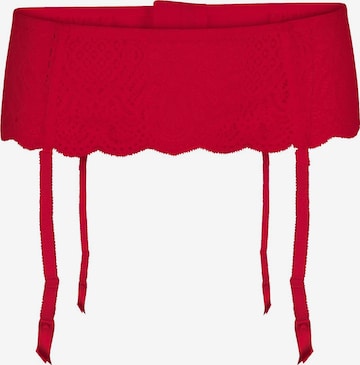 LingaDore Pasek za nogavice | rdeča barva: sprednja stran