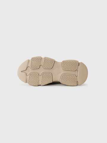 STEVE MADDEN Nizke superge 'POSSESSION-E' | rjava barva