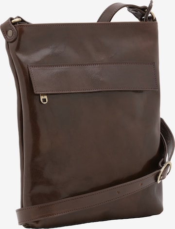 Sac à bandoulière Viola Castellani en marron : devant