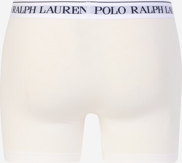 Polo Ralph Lauren Шорты Боксеры в Белый