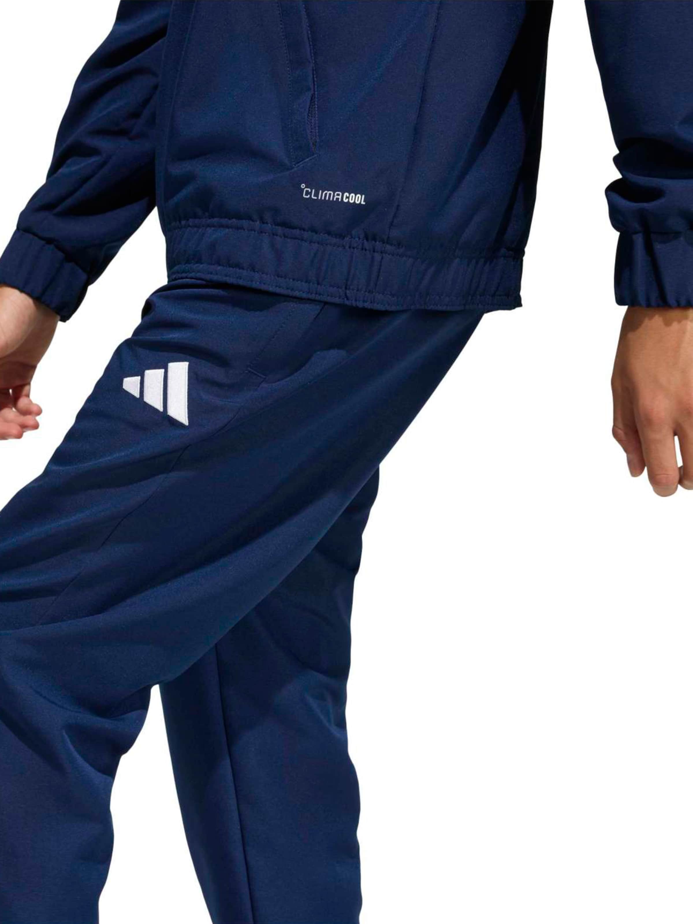 ADIDAS PERFORMANCE Обычный Спортивные штаны 'ENT26' в Синий