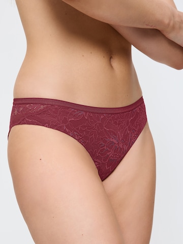 Slip ' Red Label Amourette Charm ' TRIUMPH en rouge