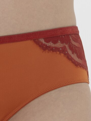 Mey Panty in Orange