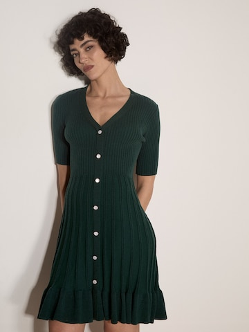 Apricot Ribbed Knit Fit And Flare Mini Dress ' ' in Grün: Vorderseite