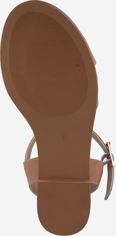 Dorothy Perkins Sandals in Brown