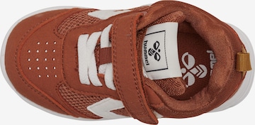 Hummel Sneakers in Brown