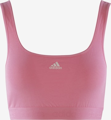 ADIDAS SPORTSWEAR Bustier Sport-BH ' Sport Solid Cotton ' in Pink: predná strana